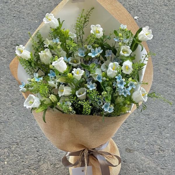 Giảm Nửa 49% Mại ZÔ Mại ZÔ