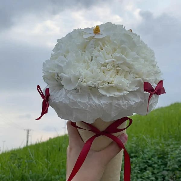 Bó Hoa Cẩm Chướng Trắng