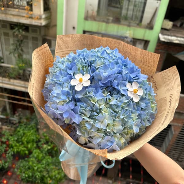 Bó Hoa Cẩm Tú Cầu Xanh